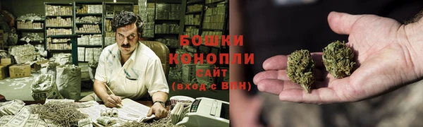 сатива Армянск