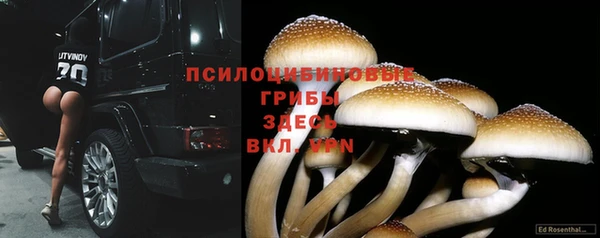 мяу мяу мука Арсеньев