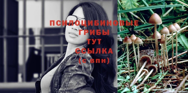 сатива Армянск