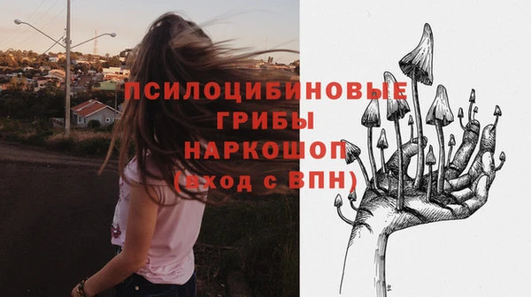 мяу мяу мука Арсеньев