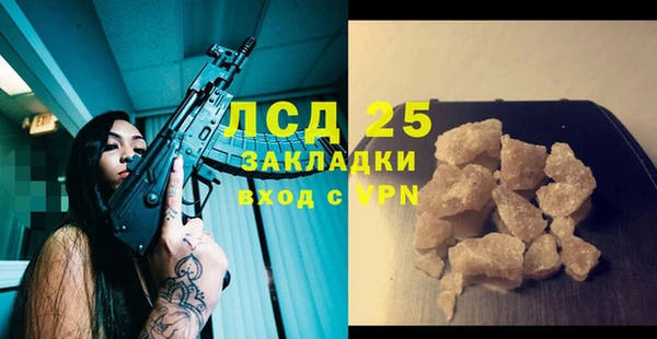 сатива Армянск